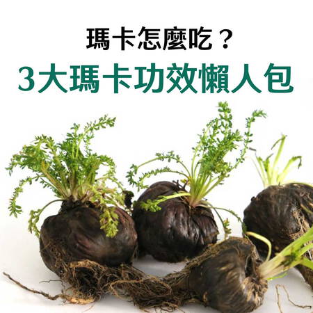 瑪卡怎麼吃？3大瑪卡功效、推薦搭配營養素懶人包看這篇就夠了！