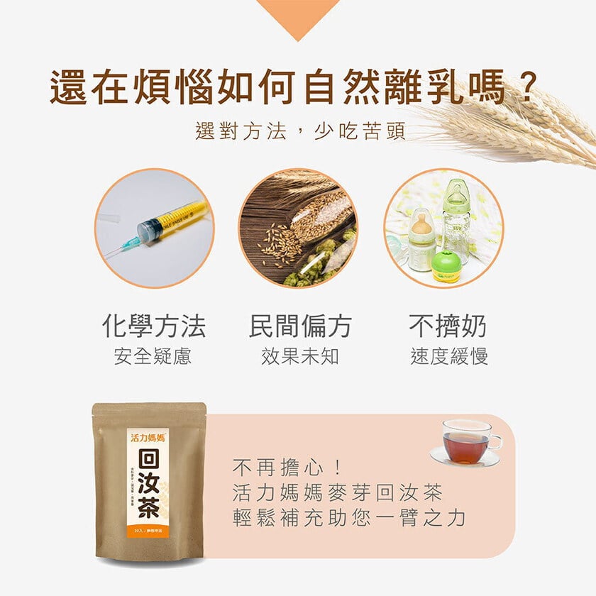 麥芽回汝茶