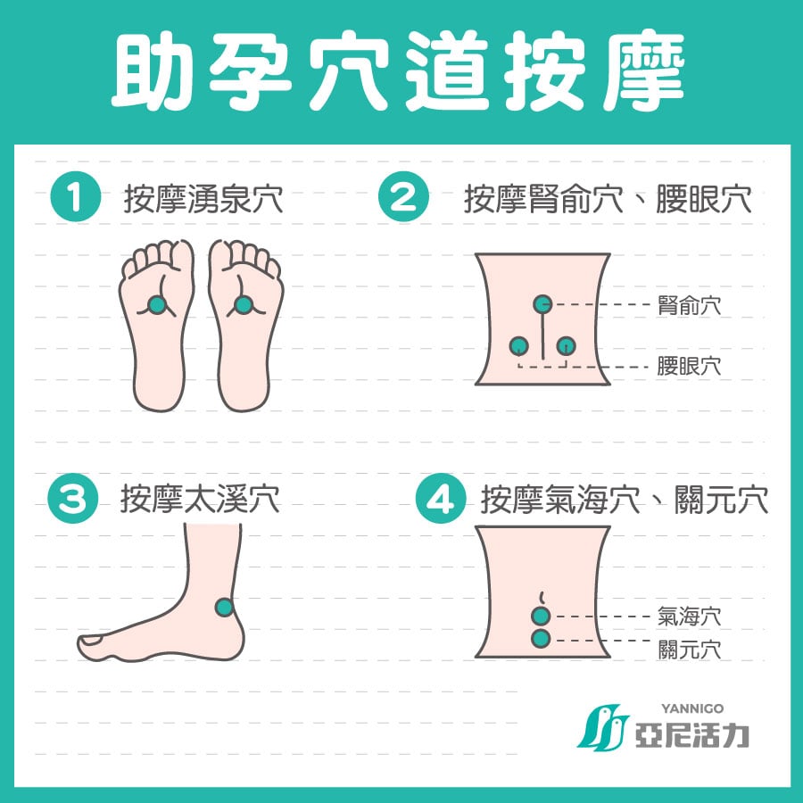 中醫備孕方法:助孕穴道按摩 中醫備孕方法:助孕穴道按摩