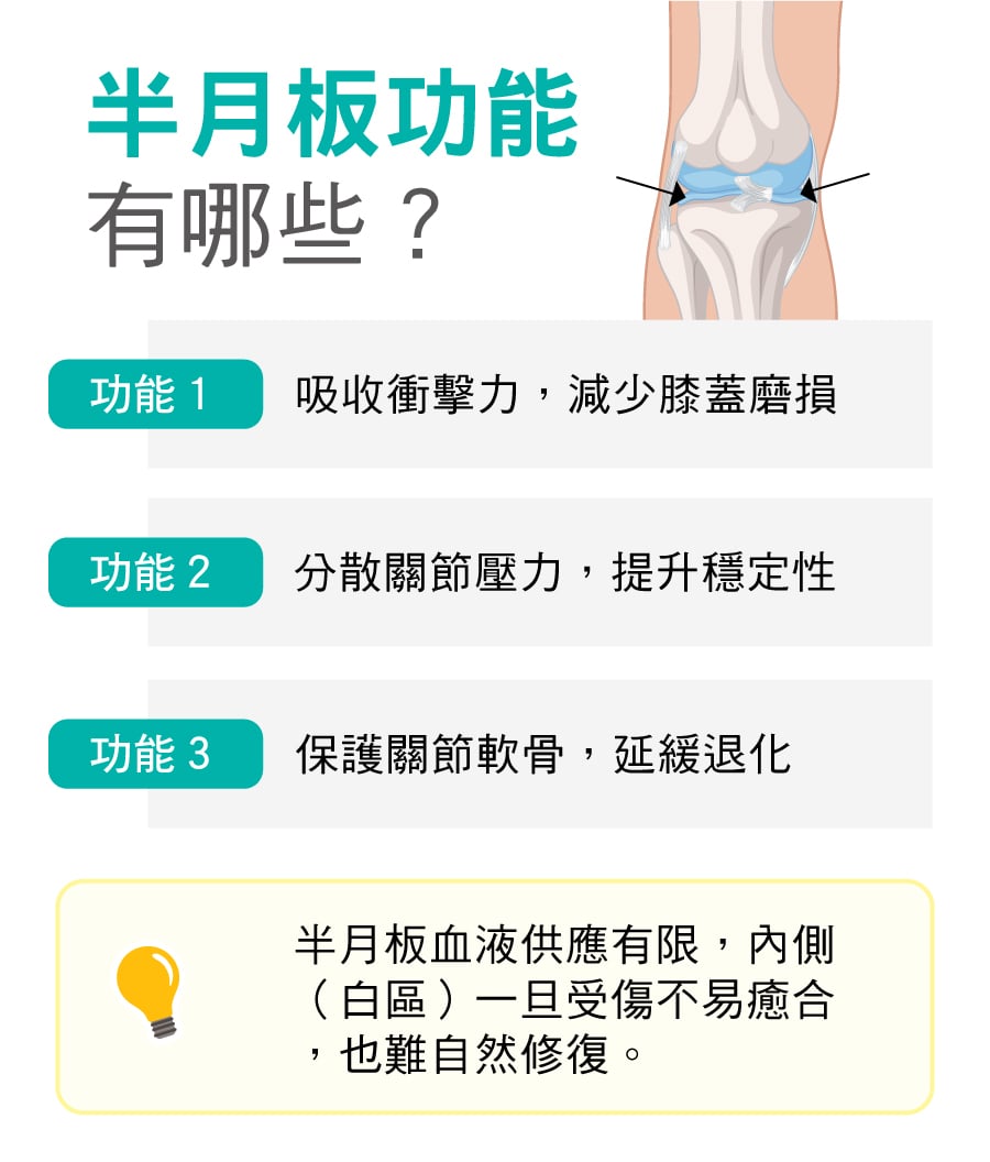 半月板功能有哪些 半月板功能有哪些
