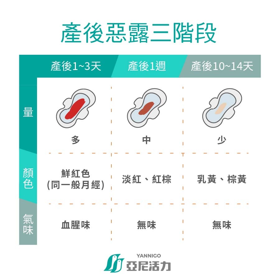 產後惡露、產後排血