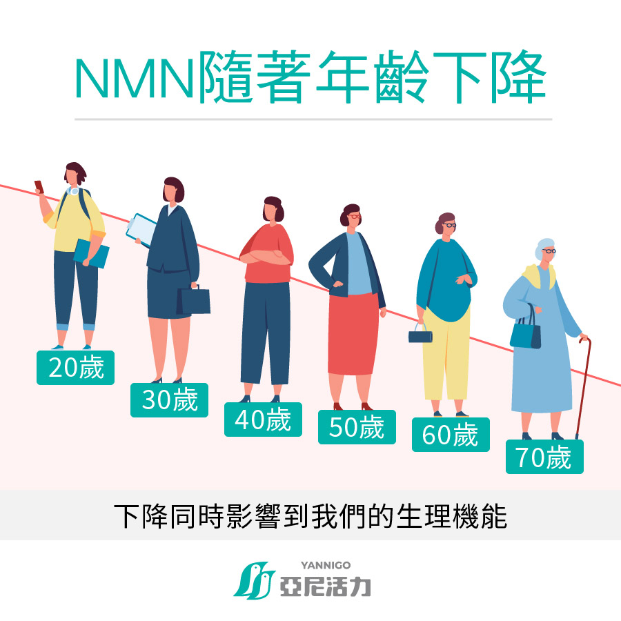 NMN是什麼 NMN是什麼