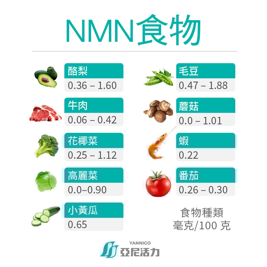 NMN食物 NMN食物