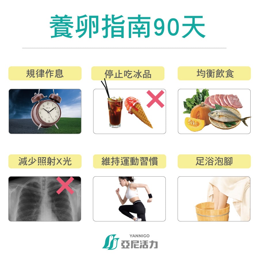 養卵90天六大指南 養卵90天六大指南