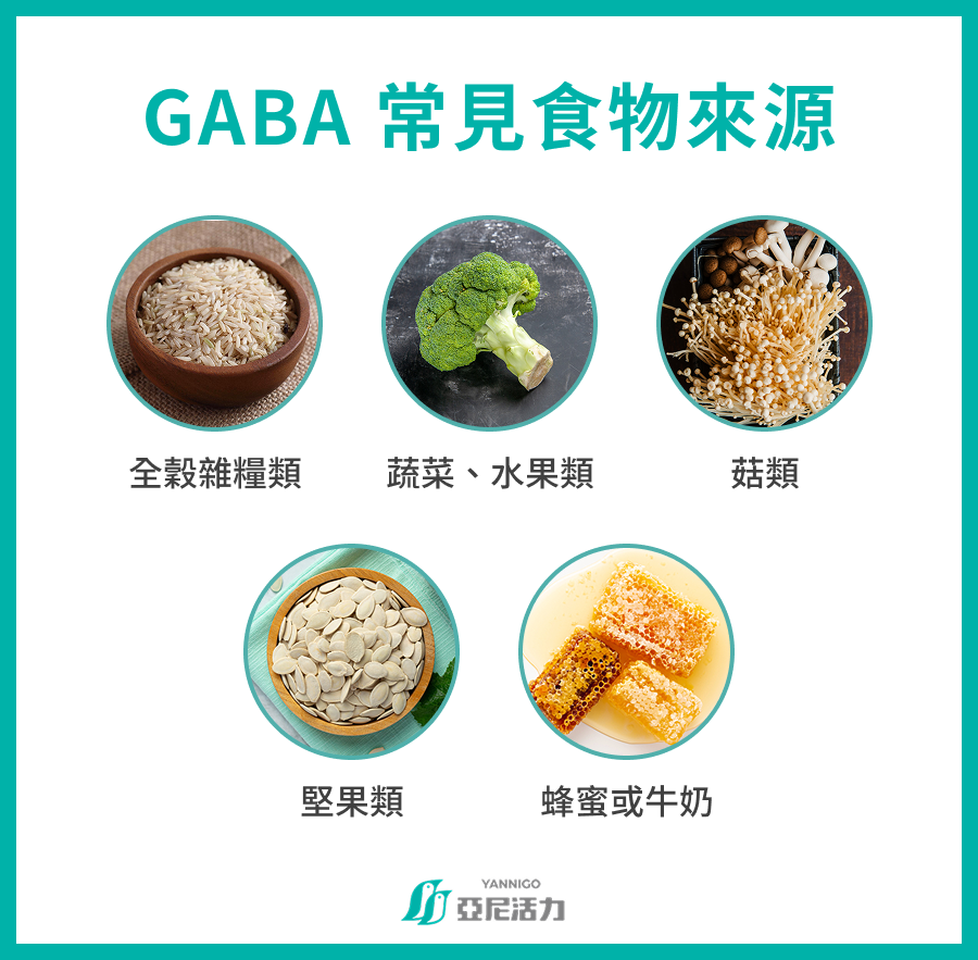 GABA 常見食物來源 全穀根莖類 蔬菜、水果類 豆製品、蛋奶類 發酵食品 其他 GABA 常見食物來源 全穀根莖類 蔬菜、水果類 豆製品、蛋奶類 發酵食品 其他
