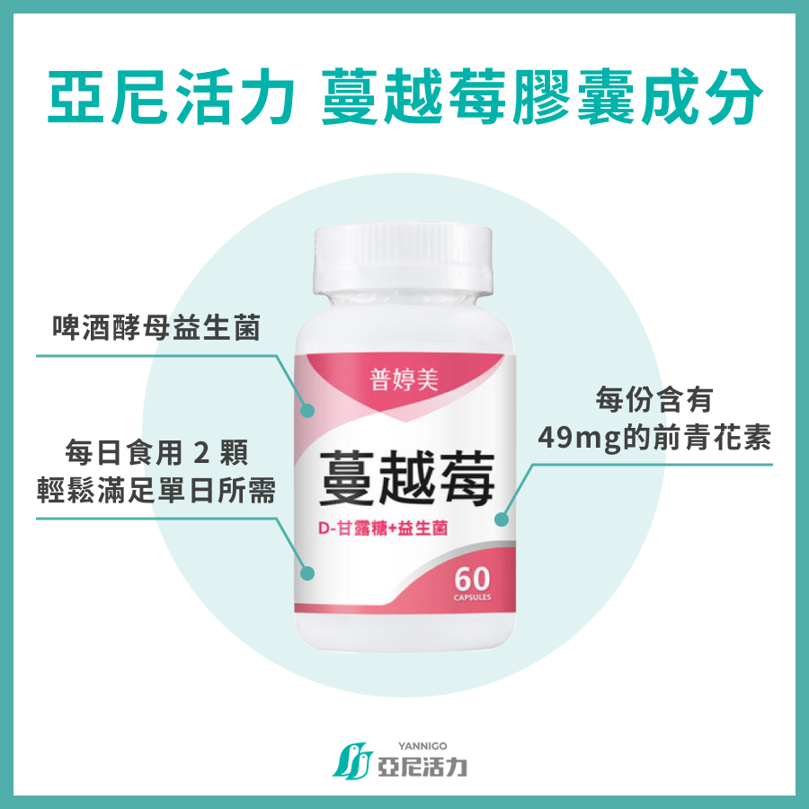 蔓越莓益生菌 蔓越莓益生菌