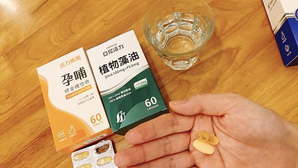懷孕營養品 懷孕營養品