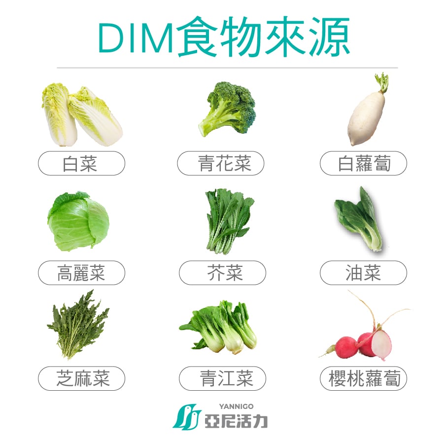 什麼是DIM保健食品?帶你認識十字花科DIM的功效、作用 什麼是DIM保健食品?帶你認識十字花科DIM的功效、作用