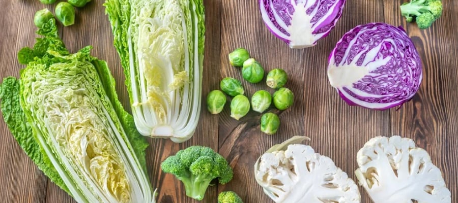 什麼是DIM保健食品?帶你認識十字花科DIM的功效、作用 什麼是DIM保健食品?帶你認識十字花科DIM的功效、作用