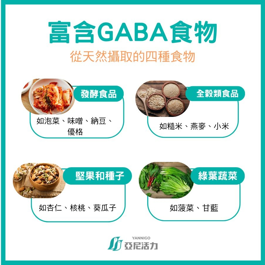 GABA食物 GABA食物